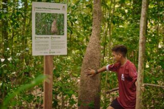 Trilhas na Amazônia: educação ambiental e renda para 14 comunidades