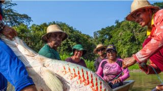 Gestão da Amazônia: encontro em Tefé e Bragança define futuro da região
