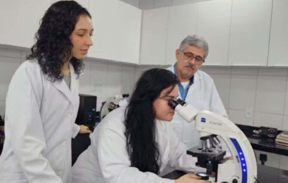 Pesquisa sobre diagnóstico mais preciso para leishmaniose canina é realizada no Maranhão