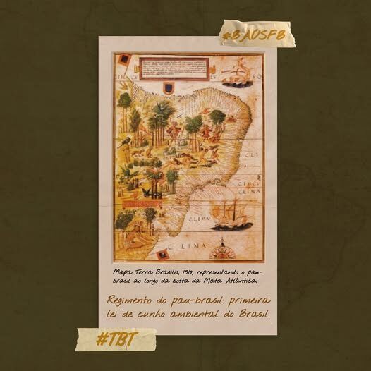 Regimento do Pau-brasil, primeira lei do Brasil