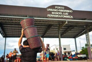 Igarapé-Miri (PA): açaí impulsiona economia local e lidera produção