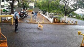 Segurança é autuado por não ajudar vítima de assalto