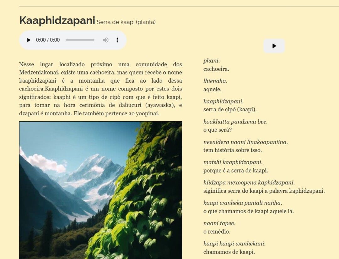 Dicionário multimídia de línguas indígenas