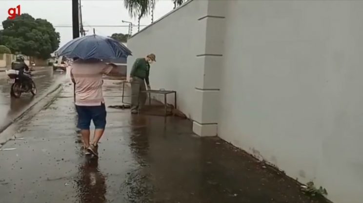 Jacaré é encontrado em calçada durante forte chuva em Porto Velho; assista